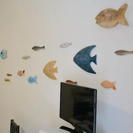 Apartment Magnoliaalmare-beachfront With Spacious Terrace