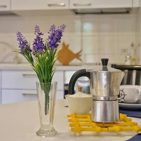 Apartman Magnoliaalmare-beachfront With Spacious Terrace *