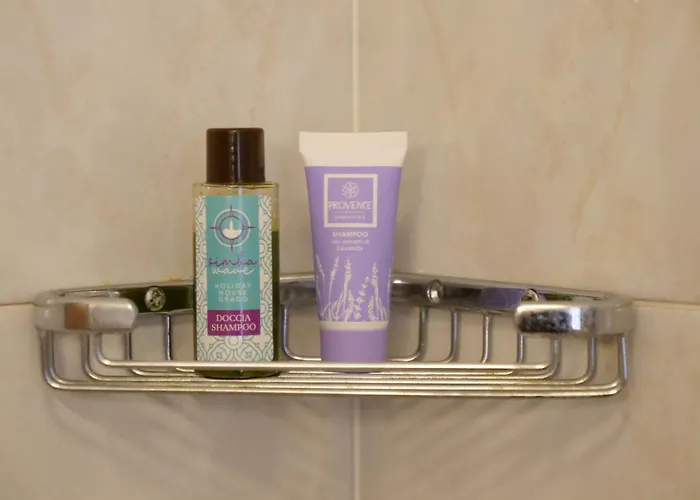 Magnoliaalmare-beachfront With Spacious Terrace